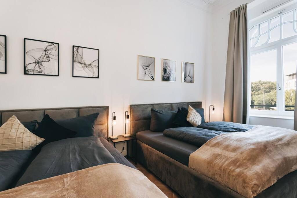 Tip! Design-Apartment In Toplage 75Qm In Szeneviertel Дрезден Екстер'єр фото